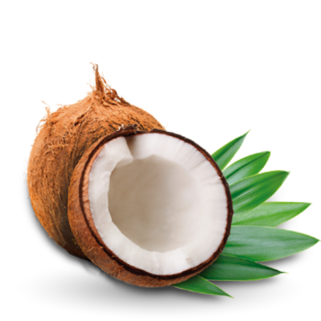 Coconut