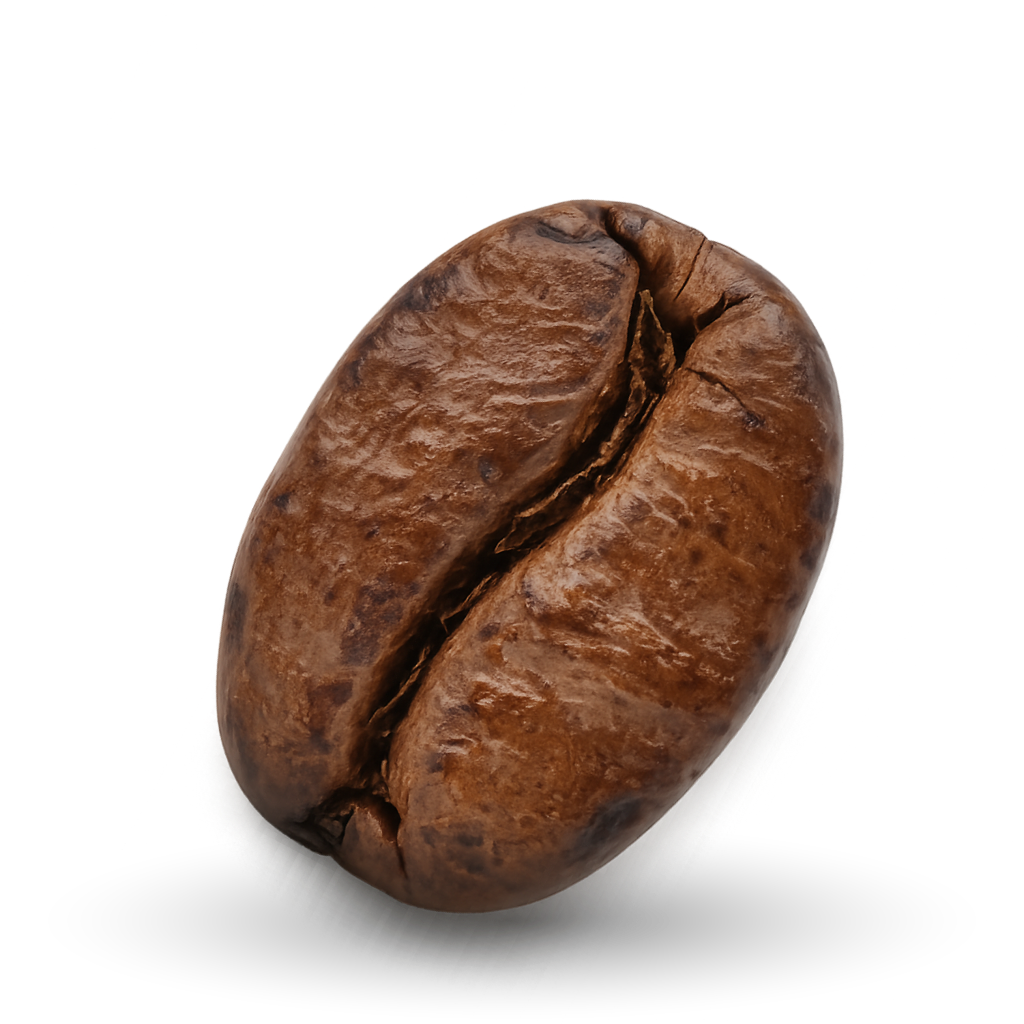 Coffee Bean